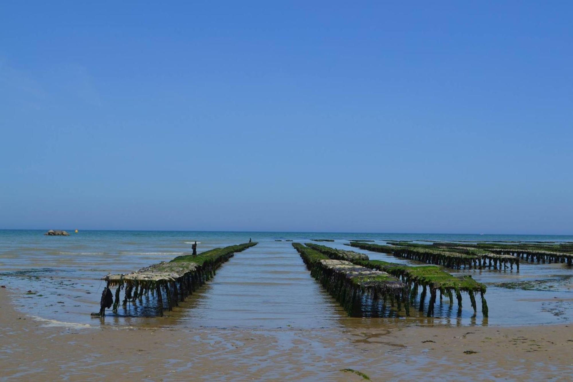 Apt Duplex Ou Plain Pied Tout Confort Plein Centre Ville Bayeux Proche Commerces, Restaurants, Avec Terrasse Privative Ou Jardin Commun Amenage Clos, Parking Gratuit A Proximite, Proche Plages Du Debarquement Esterno foto